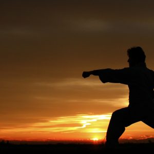 bruce lee martial art style