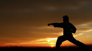 bruce lee martial art style