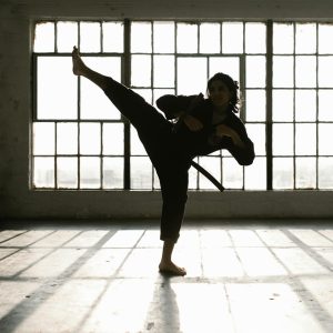 jeet kune do techniques
