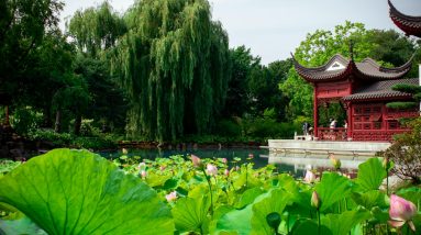 jeet kune do philosophy